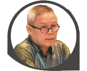 Vincentius Oei Kok Sen
