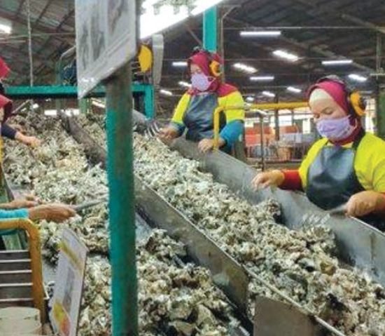 Kinerja Industri Karet Beralih dari Status Kontraksi ke Ekspansi