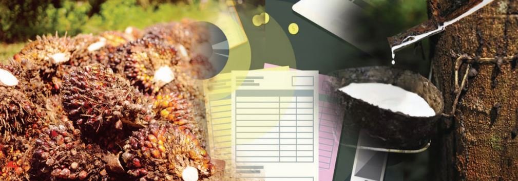 Sekumpulan Regulasi untuk Menghambat Sawit-Karet, Indonesia-Malaysia Sepakat Agenda Misi Bersama ke Uni Eropa