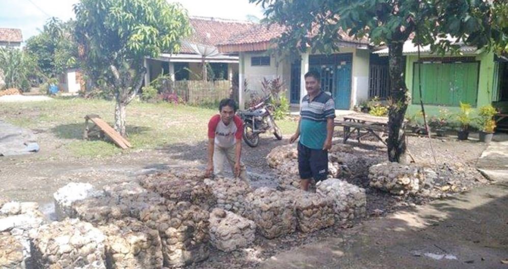 Pemerintah Indonesia Berkomitmen Terus Stabilkan Harga Karet dan Inisiatif Bursa Karet Regional