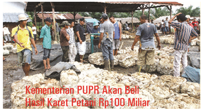 The Ministry of Public Works and Public Housing Will Buy Rp100 Billion Farmers’ Natural Rubber