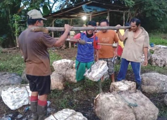 <strong>Natural Rubber Prices in North Sumatra Rise to IDR 8,500 – IDR 9,500/Kg, Farmers Say Still Far From Ideal Price Level</strong>